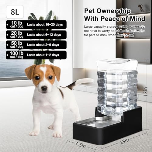 8L Dog Water Dispenser
