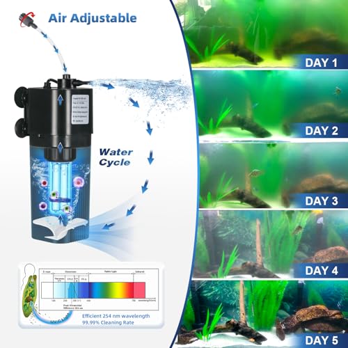 10 40 Gallon U