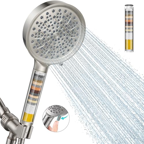 Filtered Shower Head with Handheld