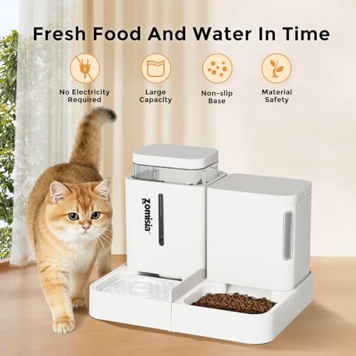 Gravity Cat Feeder and Water Dispenser
