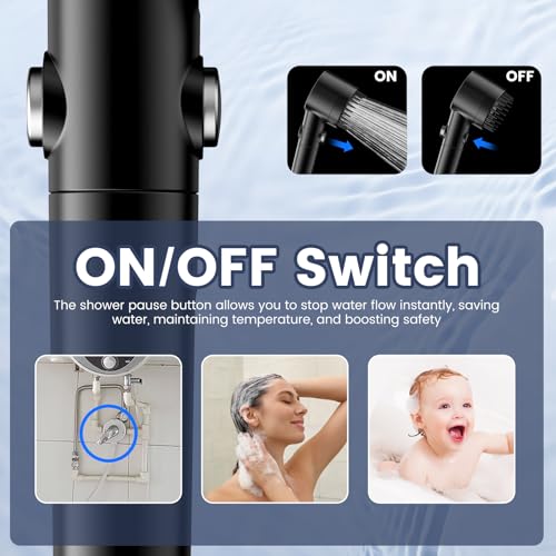 Filtered Shower Head with Handheld