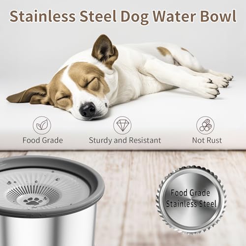 6.5L Dog Water Bowl No Spill 1.6 Gallon Stainless Steel Water Bowl with 4 Filters for Dogs 220oz Large Capacity No Splash Slow Drinking Feeder with Anti
