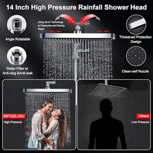 Tandem Shower Head with Filters
