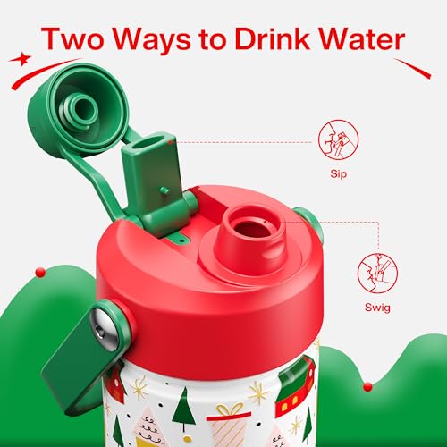 Christmas Insulated Water Bottle with Straw
