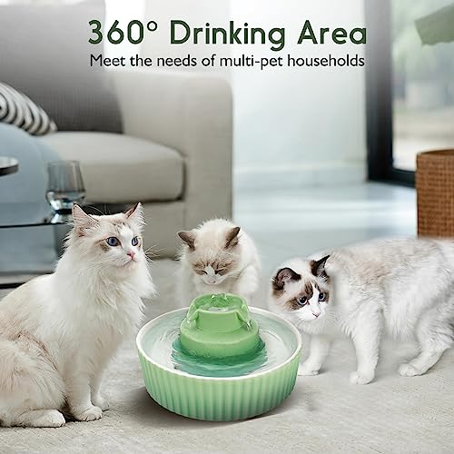 Ceramic Cat Water Fountain