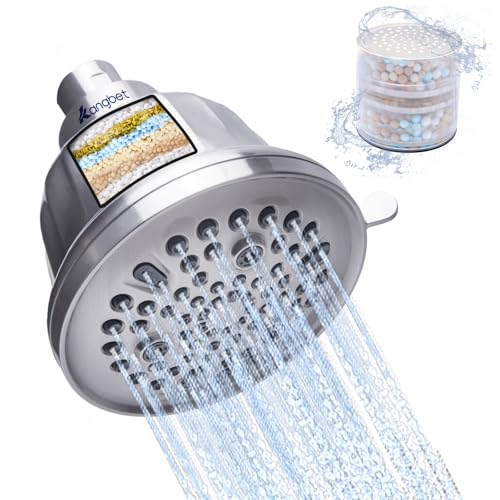 Filtered Shower Head