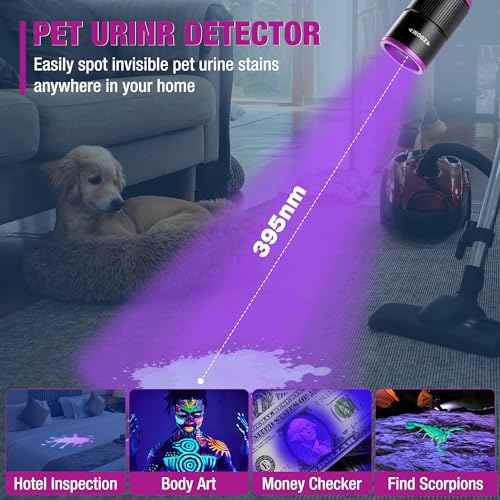 Rechargeable Pen Flashlight with UV and White Light