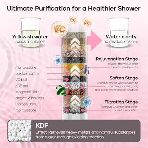 Filtered Shower Head with Handheld