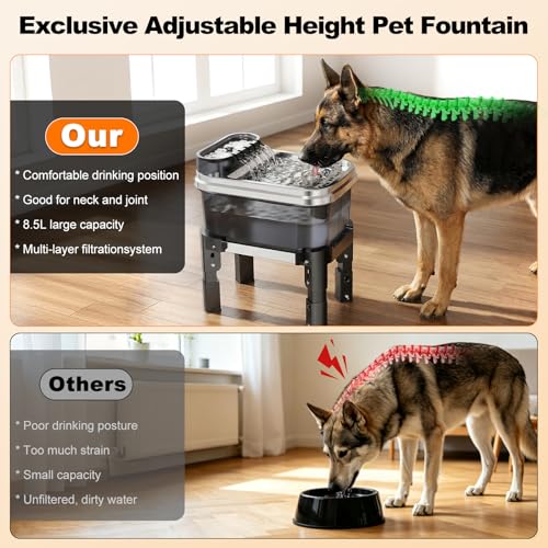 9L Elevated Stainless Steel Dog Water Fountain with Filter