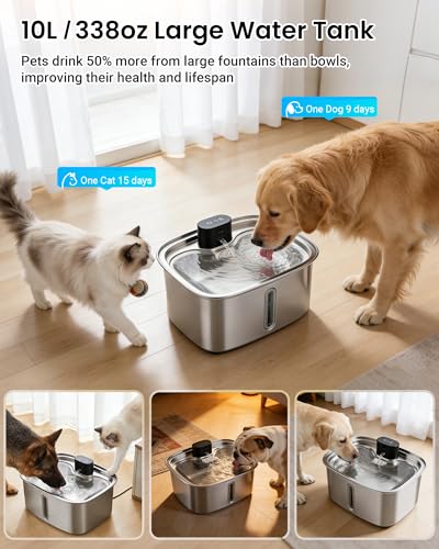 Smart Pet Water Fountain