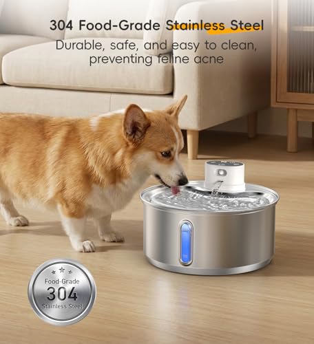 Stainless Steel Cat Water Fountain