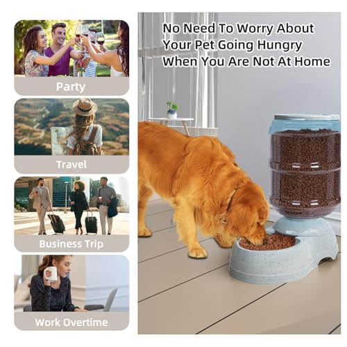 11L Gravity Automatic Dog Feeder