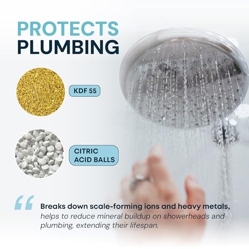 Shower Head Filter (2 Count)