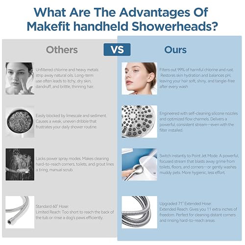 Filtered Shower Head with Handheld
