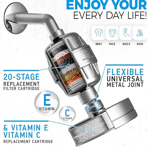 Handheld Shower Filter