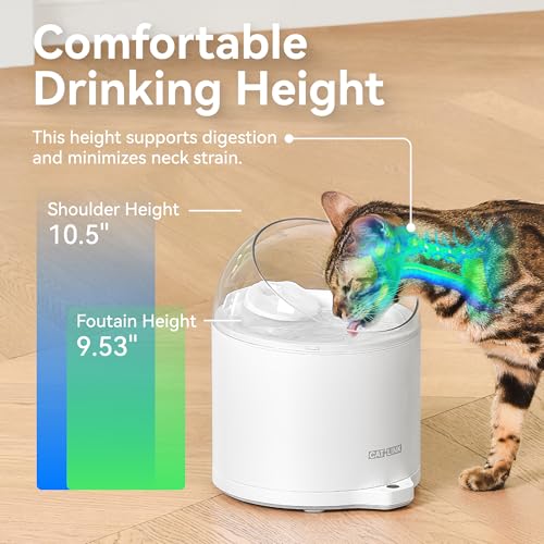Pure 2 Cat Water Fountain with Wireless Pump