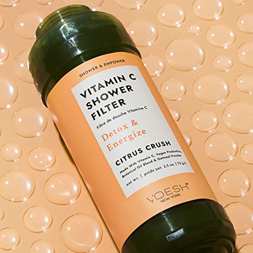 Vitamin C Shower Filter Duo (2 Count)