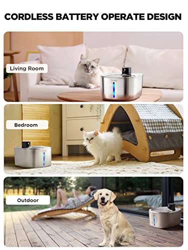 Cordless Cat Water Fountain
