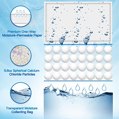 Moisture Absorber (10 Count)