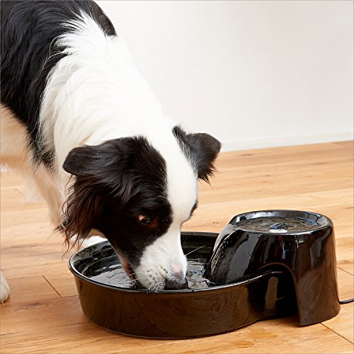 Pioneer Ceramic Drinking Fountain Big Max