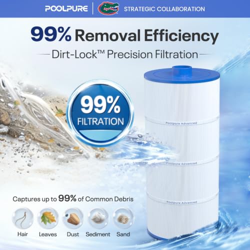 C 8326 SPA Filter Replaces Sundance 6540