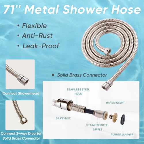 10'' Dual 20 Stage Filtered Shower Head with Handheld