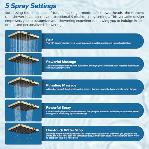 5 spray Dual Filtered Rainfall Shower Head with 10 Spray Handheld