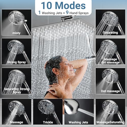 Filtered Shower Head with Handheld