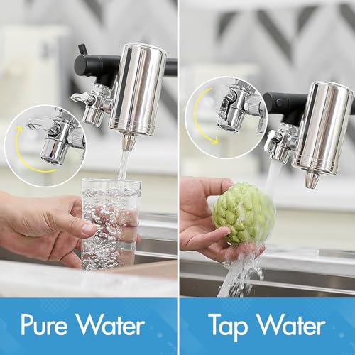 Black Kitchen Faucet with Water Filter