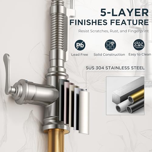 Kitchen Faucet with Pull Down Sprayer
