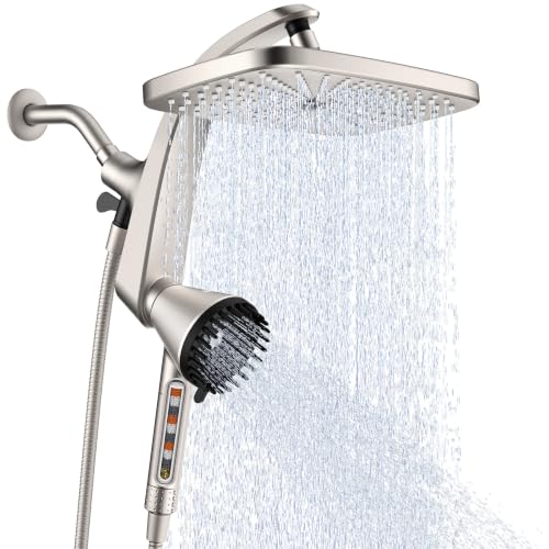 Shower Head with Handheld