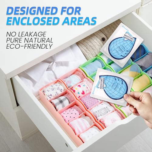 100 Gram 10 Packs Moisture Absorbers