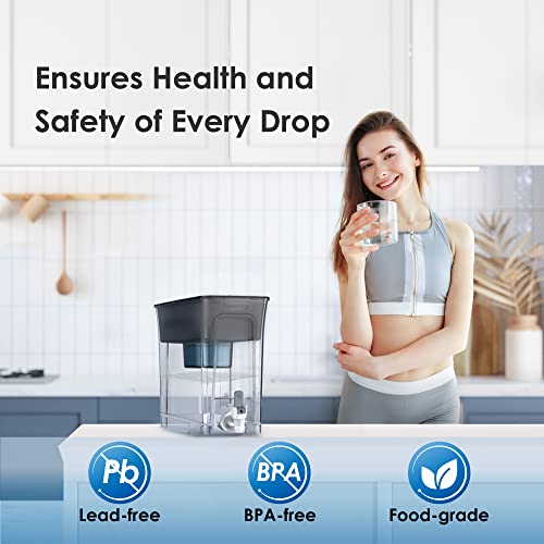 WFD-40L-A Water Filter Dispenser, Alkaline Filtration, Black