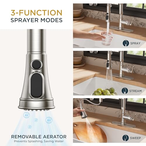 Kitchen Faucet with Pull Down Sprayer