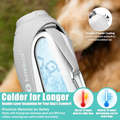 Insulated Dog Water Bottle 27 oz Stainless Steel