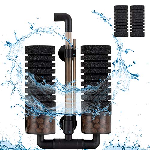 Sponge Filter