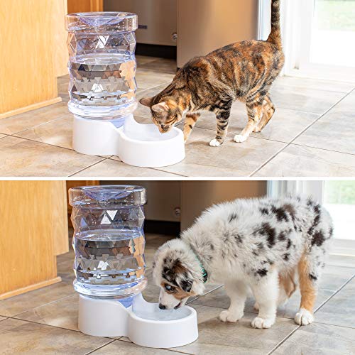 H2O Gravity Pet Water Dispenser