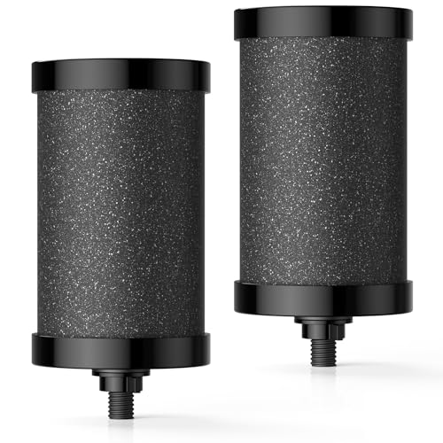 2 Pack 2387 Pro Filter Replacement for Alexapure 2387 Pro Water Filter (2 Count)