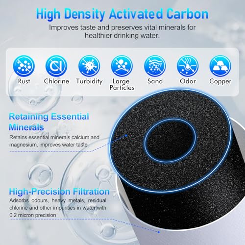100186 Original Water Filter Replacement Cartridge Compatible with Amway Espring