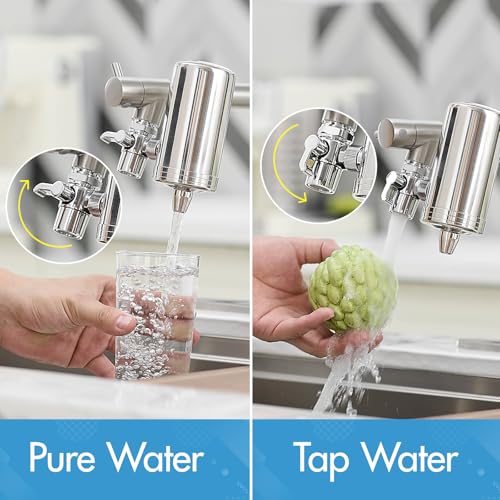 Kitchen Faucet with Water Filter and Pull Down Sprayer