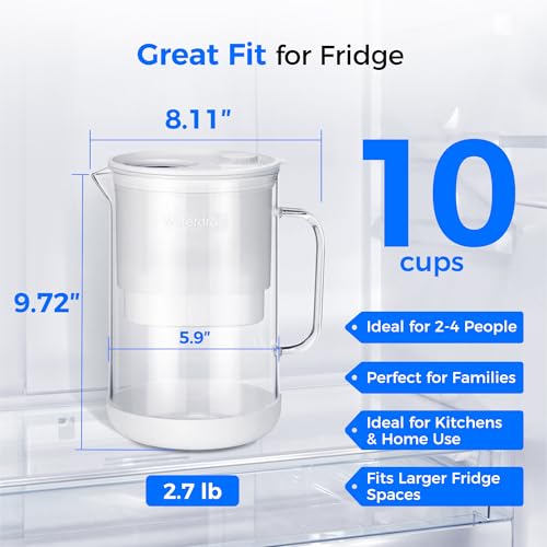 PT-09W 10-Cup Large Glass Water Filter Pitcher, Eco-Friendly