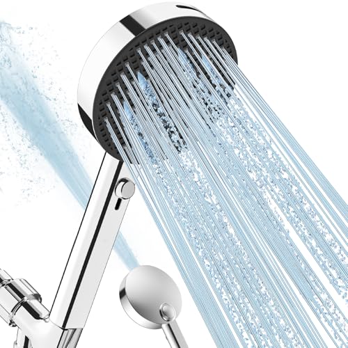Filtered Shower Head with Handheld
