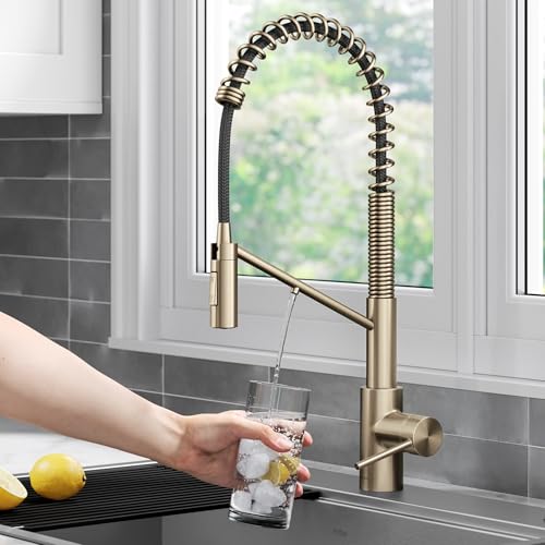 Oletto 2-in-1 Commercial Style Pull-Down Single Handle Water Filter Kitchen Faucet for Reverse Osmosis or Water Filtration System in Spot-Free Antique Champagne Bronze, KFF-2631SFACB