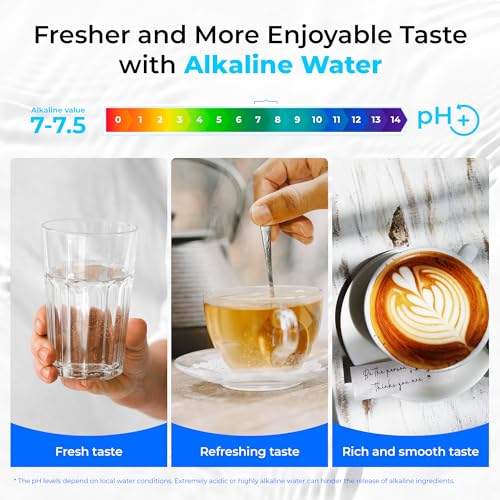 10ALK Replacement for Waterdrop TSB