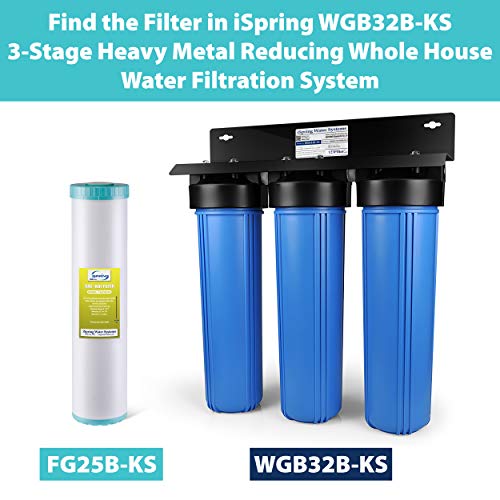 FG25B KS Heavy Metals Reduction Whole House Water Filter