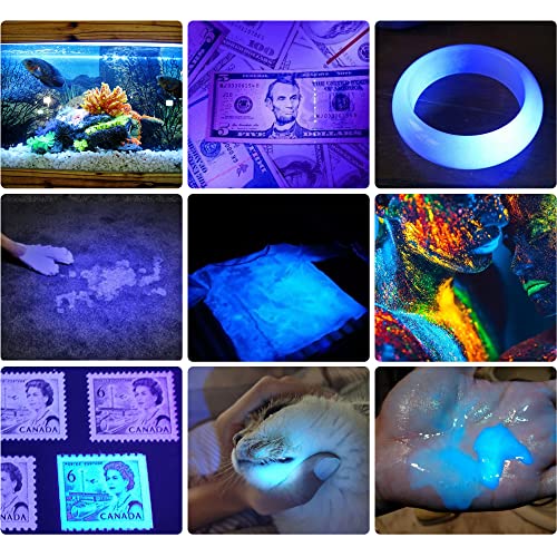 UV 365nm Light Wood's Lamp Blacklight Ultraviolet Flashlight Mini