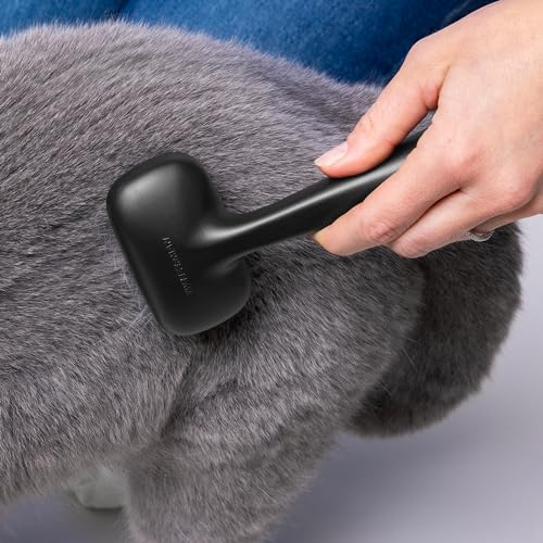 Slicker Brush for Small Pets