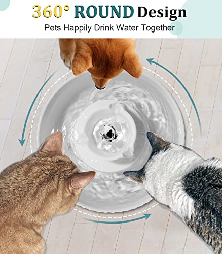 Ceramic Cat Water Fountain