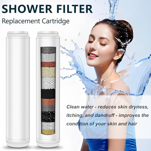 Multi Stage Filter Replacement Compatible with PWERAN for Handheld Shower Head (2 Count)