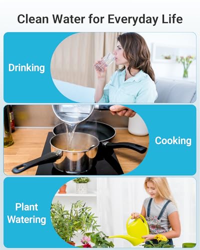 Gravity Water Filter (2 Count)